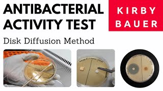 Antibacterial Activity Test by Disk Diffusion Method_A Complete Procedure (Kirby and Bauer Method)