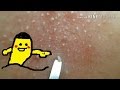 私の趣味13