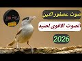 صوت عصفور التين الصوت الاقوى لصيد 2026