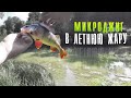 МИКРОДЖИГ, ловля окуня ЛЕТОМ на реке