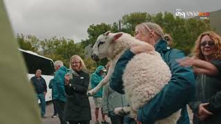 Exploring Ireland, Irish Experience Tours from Sean P. 🇮🇪