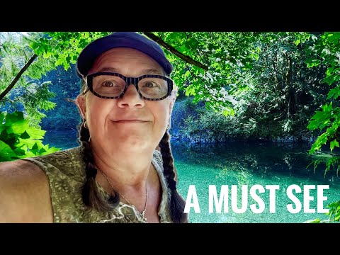 TAYLOR RIVER REST STOP on VANCOUVER ISLAND is much more than a VANLIFE REST STOP  #vanlifer