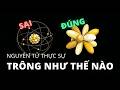 99% mọi người KHÔNG BIẾT cấu tạo THỰC SỰ của Nguyên Tử ! | Orbitan là gì ?