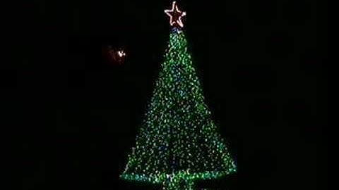 2007 Mega-Tree Test 1