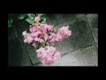 Yatto_Aetane「呼吸をしたあと(Alternative)」Official Music Video