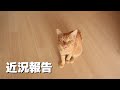 【近況報告】