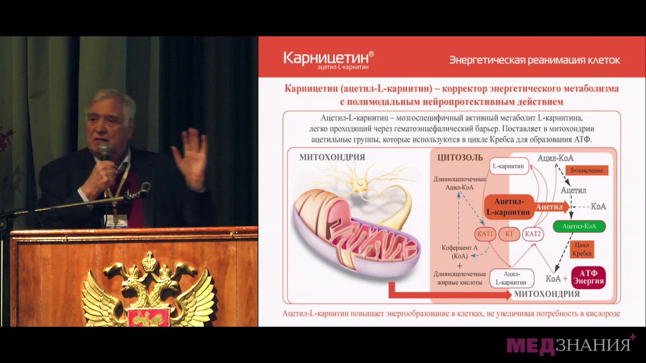 Сенсорно моторная полинейропатия