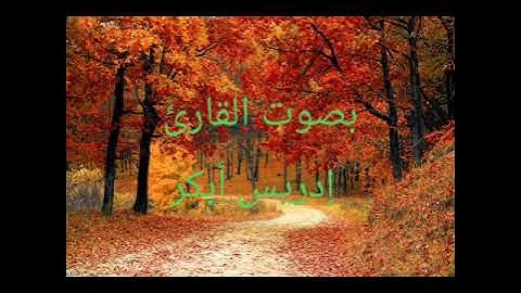 سورة الفجر || بصوت إدريس أبكر || متع قلبك مع القرآن الكريم