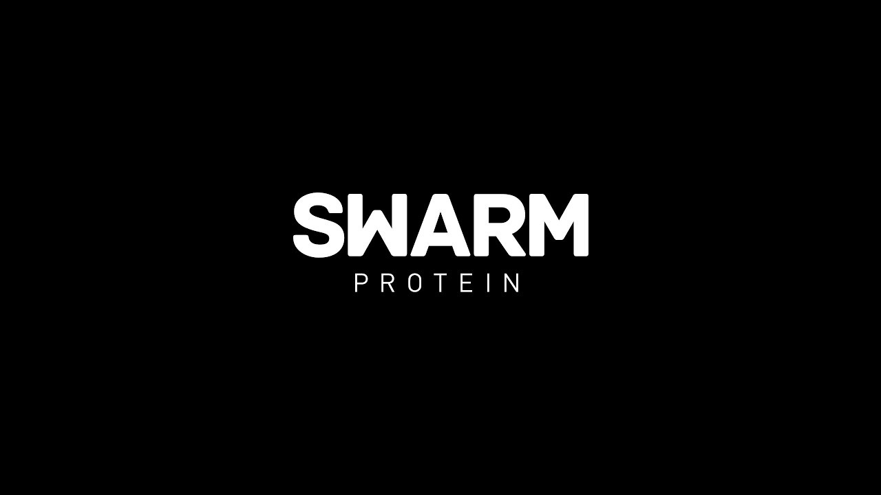 Update New SWARM PROTEIN - Crowdfunding Insektenriegel