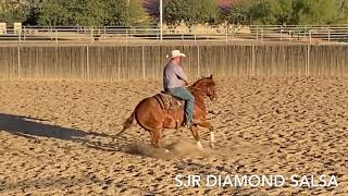 SJR Diamond Salsa