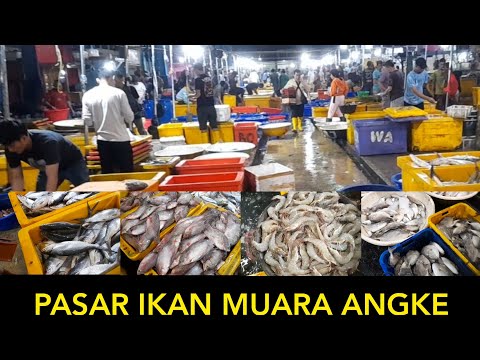 Harga Ikan Jabres