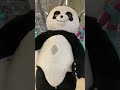 Panda :) ’s ? danses