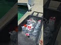 Loading up provisions on the yacht! 🛥️ #yacht #chef #food