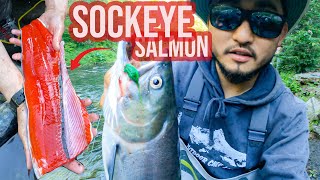 WILD SOCKEYE SCOTCH EGG + ROE?! | Trip of a Lifetime with Subscribers Prt.1