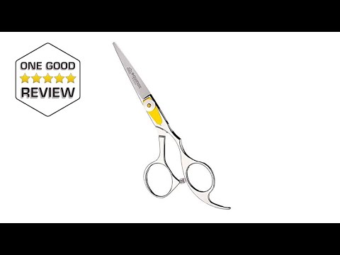 Equinox Professional Razor Edge Series Barber Hair Cutting Scissors – 5 ...