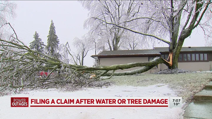 Storm damage: What is and isn't covered by insurance
