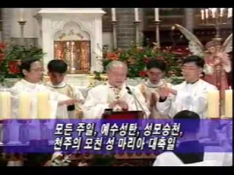 영상썸네일