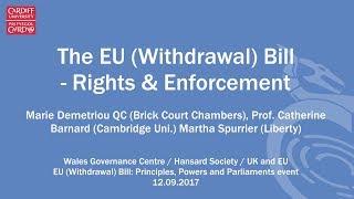 EU Withdrawal Bill - Rights and Enforcement panel discussion