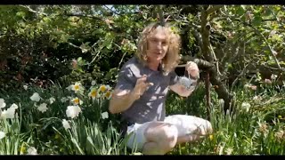 Daves Jungle/ Easy made ladybird hotel plus amazing facts.