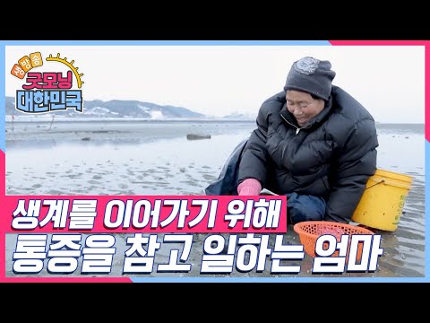 [엄마를 부탁해] 허리 통증으로 고통 받는 엄마, 생계를 이어가기 위해서는 일을 해야하는데... 과연 엄마는 건강을 되찾을 수 있을까? [굿모닝 대한민국] KBS 250118 방송