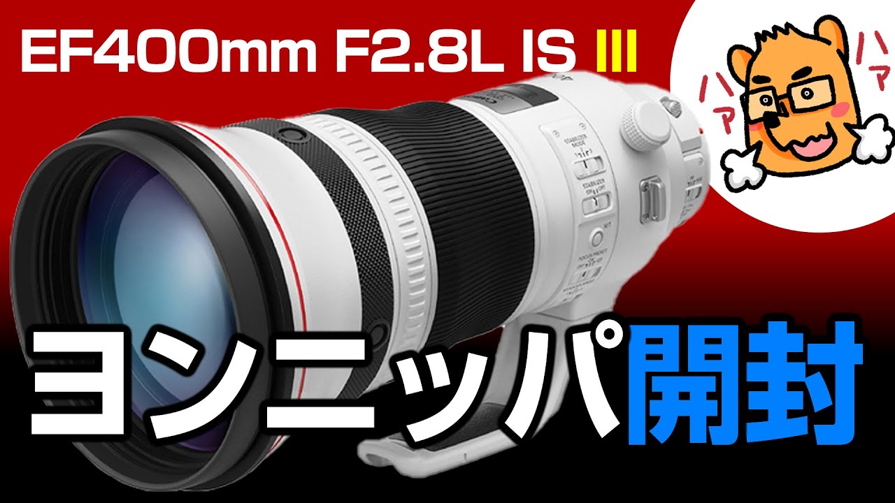 Canon  EF400mm F2.8L II USM ヨンニッパ　キャノン