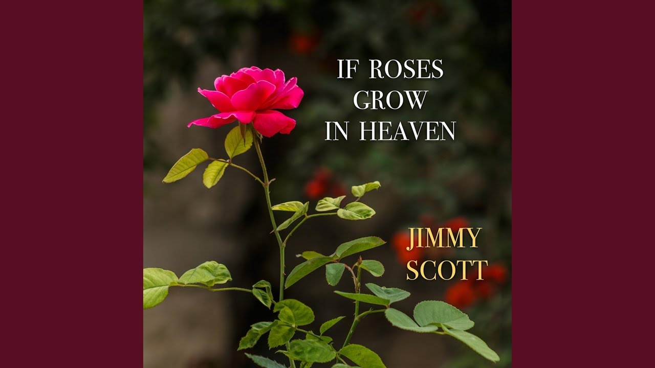 If Roses Grow in Heaven YouTube
