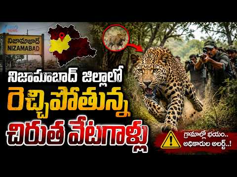 Nizamabad Dist | Poachers | Cheetah Incident | నిజామాబాద్ జిల్లాలో రెచ్చిపోతున్న చిరుత వేటగాళ్లు - ZEE24TELUGUNEWS