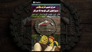 pine Tree House jungle hotel caror valley New Murree attracts tourist
