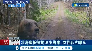 北海道採野菜遇棕熊猛撲撞擊 驚悚畫面曝! 伸熊爪刮擋風玻璃 母棕熊狂追貨車 美國大山貓闖入後院 吃掉倉庫火雞飽食｜記者 姚懷真｜【國際大現場】20240430｜三立新聞台