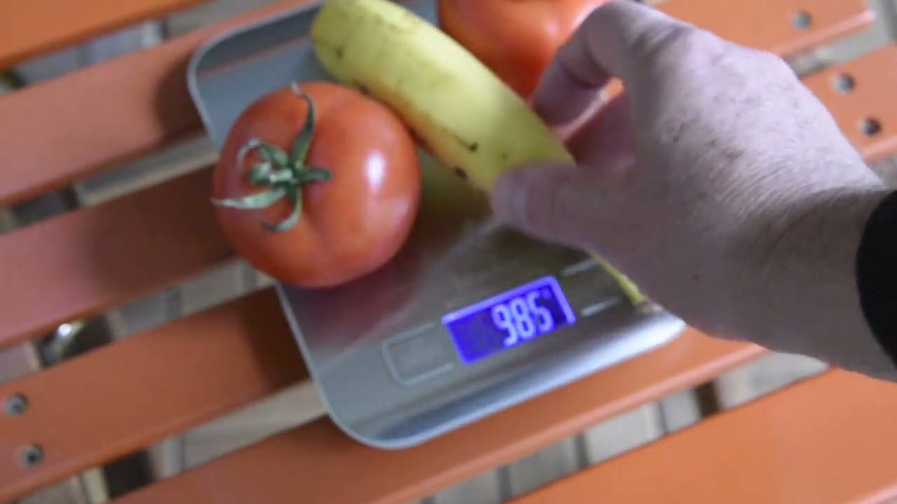 Bluefox Dijital Mutfak Terazisi | Paslanmaz Çelik Yüzey Hassas Mutfak Tartısı |