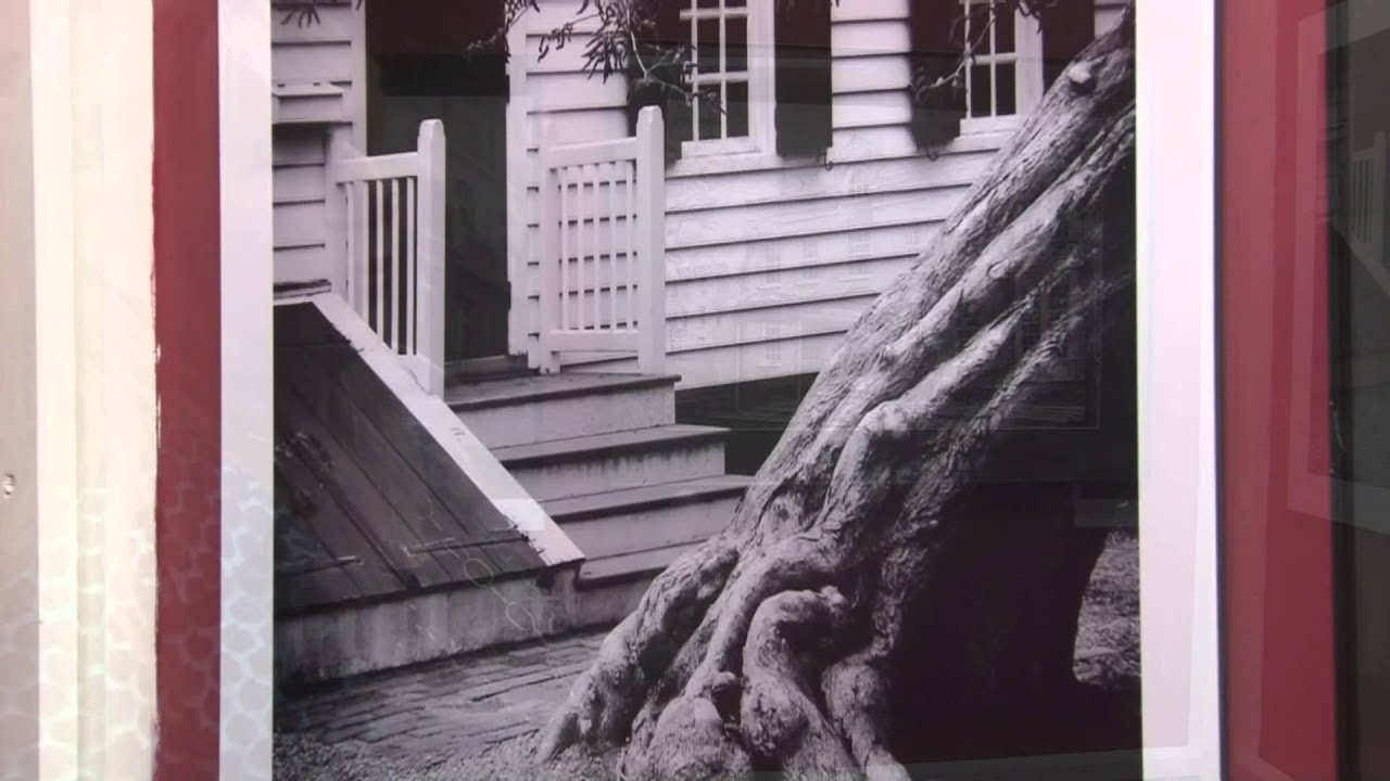 Ann Norsworthy-Rigley - Eye of the Artist - YouTube