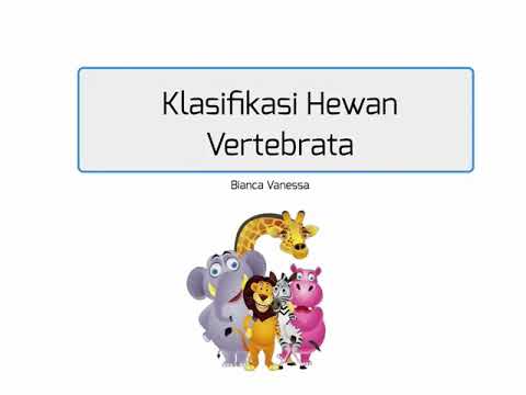  Klasifikasi  Hewan  Vertebrata  YouTube