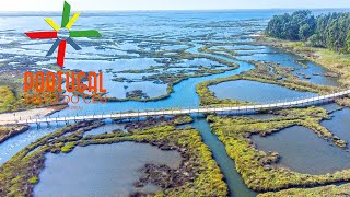 Passadiços da Ria de Aveiro 🚶🏼 Esgueira 🚴 Ria de Aveiro Walkways ⛵ 4K UltraHD