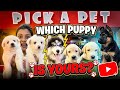 Best Budget-Friendly Pet Store in Konnagar (Hooghly) Dog Market in Kolkata Price.