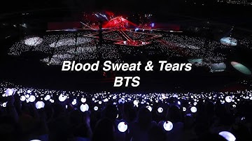 Download Bts Blood Sweat And Tears 8d Mp3 Free And Mp4
