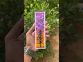 Natural acrylic painting bookmark 6 acrylicpainting satisfying gouache painting