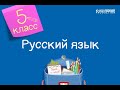 Русский язык. 5 класс. Правила жизни. Антонимы /16.11.2020/