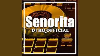 Senorita (Remix)