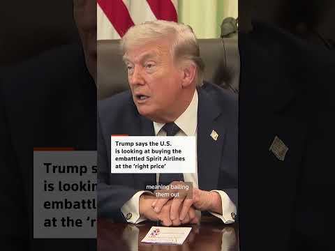 Trump weighs buying Spirit Airlines at the 'right price'