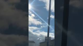 Alicorn Bestiario medieval – Winged unicorn sighting #Short