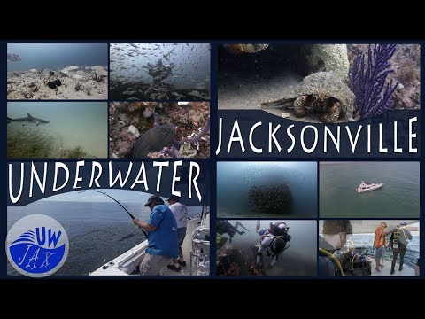 Underwater Jacksonville Florida Offshore Secrets