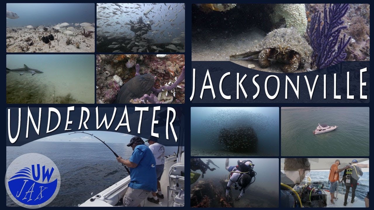 Underwater Jacksonville Florida Offshore Secrets YouTube