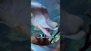 Das ist Spooky! 👻🤗 #hausdesme...