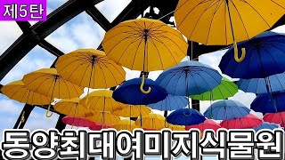 랜선힐링여행, 제주여행, 중문관광단지 동양 최대 여미지 식물원 제5탄