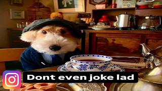 FOOLS Laugh At AWESOME Instagram Memes