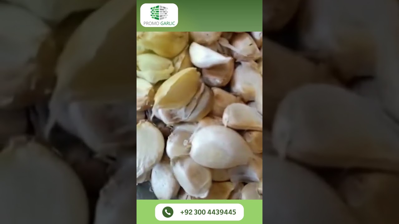 Dry Cloves High Quality Seed | NARC G1 Garlic