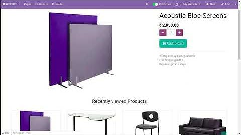 Website product FAQ styles Odoo