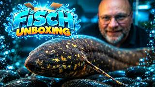 Dieses Unboxing übertrifft alles!