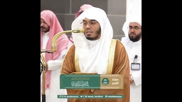﴿وَلَقَد آتَينا موسَى الكِتابَ فَاختُلِفَ ﴾ من سورة هود بصوت الشيخ ياسر الدوسري