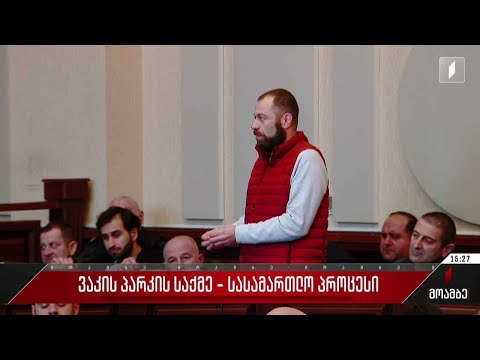 ვაკის პარკის საქმე - სასამართლო პროცესი